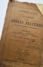 Fruitier  TAILLE DES ARBRES