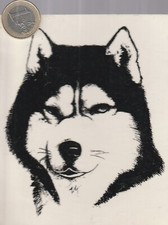 C44ani. Animaux. Chien