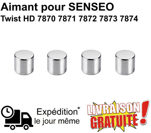 Lot 4 aimants flotteur - de,