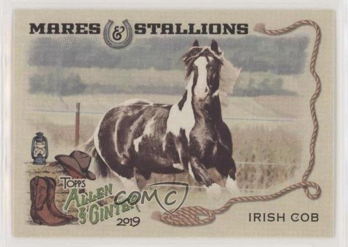 2019 topps allen - allen, ginter