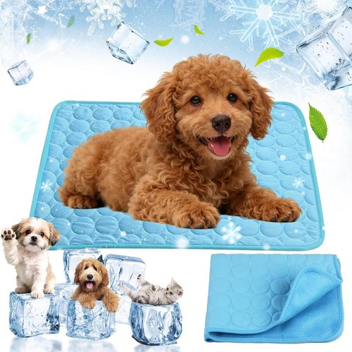 Tapis rafraichissant chien - tapis,