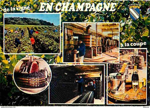 Carte postale vignes - -, en