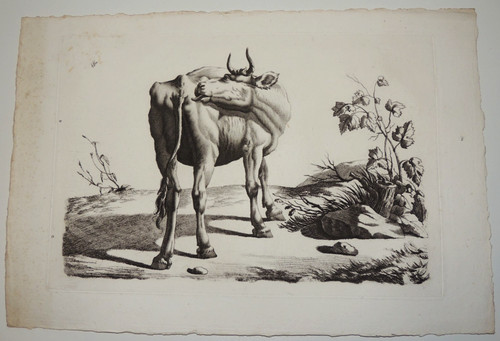 Gravure 19ème siècle - du,