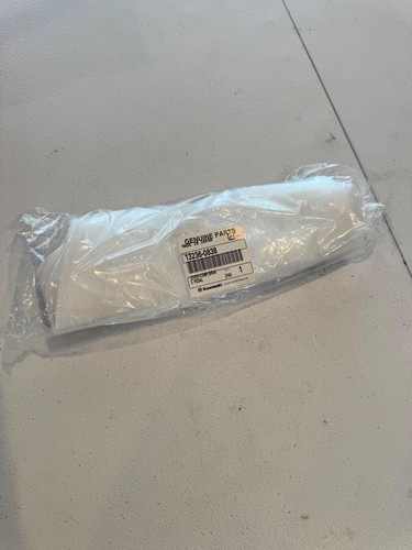 Kawasaki oem rear brake pedal