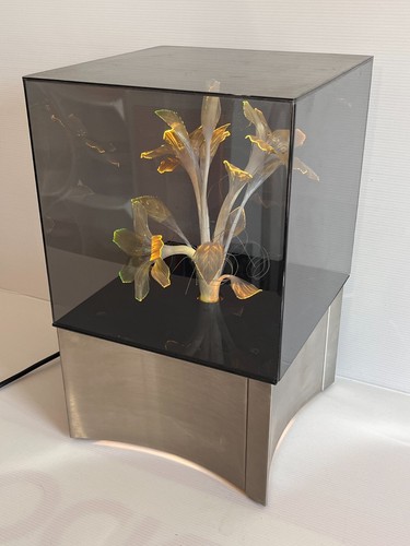 Rare lampe fibre - lampe, optique