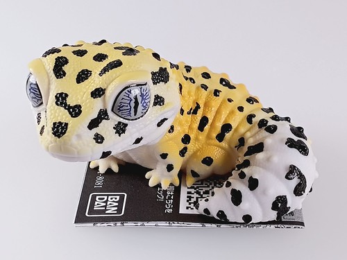 Leopard gecko - leopard, yellow)