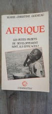 AFRIQUE LES PETITS PROJETS DE