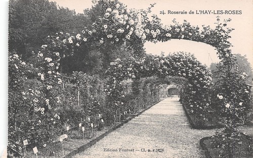 Hay les roses la - les, roseraie