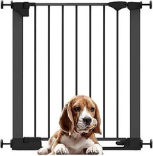 Barrière pour Animaux à