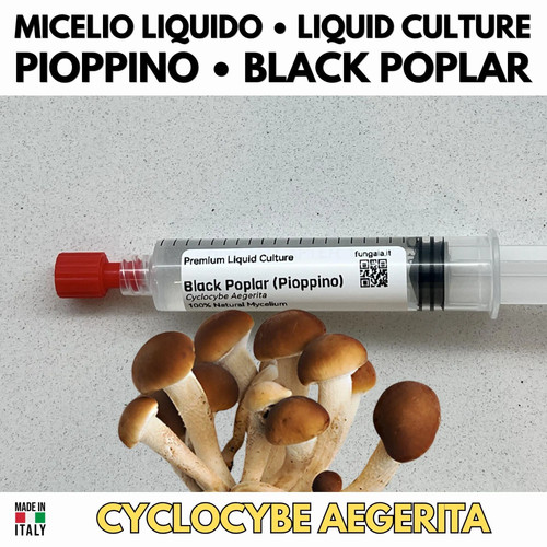 Culture liquide peuplier ml - liquide,