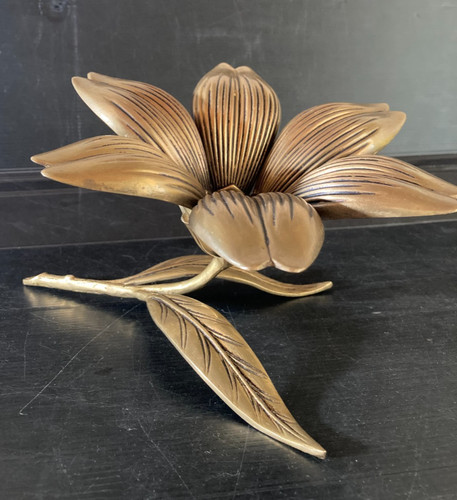 Fleur lotus 6 - lotus, à