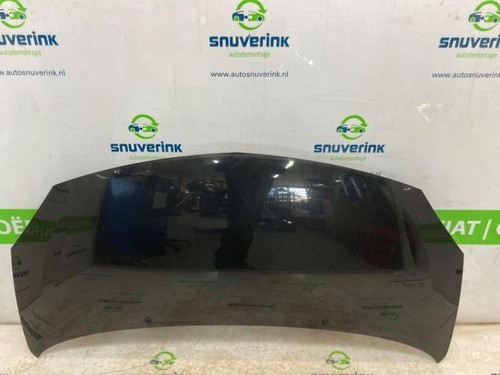 Capot renault twingo - capot,