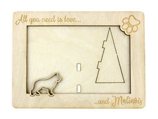 Malinois Berger Belge Cadre En