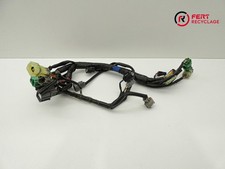 Faisceau électrique (Kawasaki