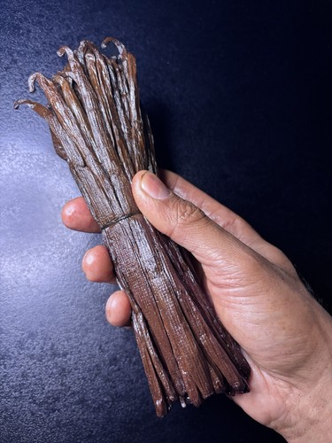 Gousses 18cm de - 12, vanille