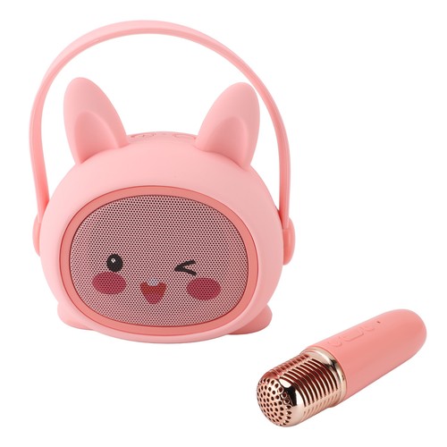 Ensemble micro - ensemble,
