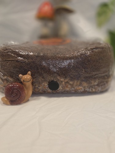 4lb all one - all-in-one, gourmet