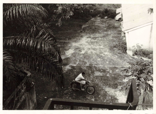 Ancienne photographie jeune - ancienne,