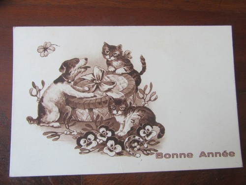 Cpa bonne annee chien chats - cpa,