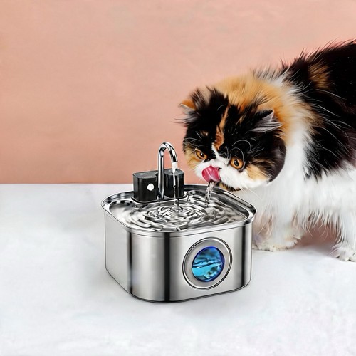 Fontaine eau chat - fontaine, chien