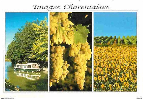 Carte postale charente - carte, 16