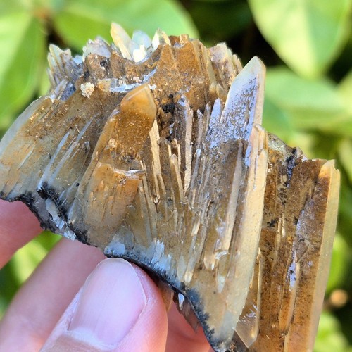 Baryte barytine bleue nador - bleue,