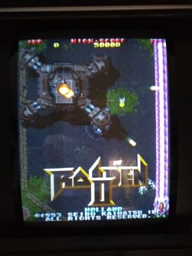 Raiden seibu kaihatsu jamma - kaihatsu,