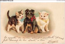 AKYP7-0679-CHAT - CHIEN ET CHATS