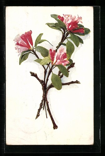 Carte postale artiste - postale, d'artiste