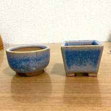 Mini rare " 丸藤 " Marufuji　Tokoname japanese bonsai pot vintage  Japan  good