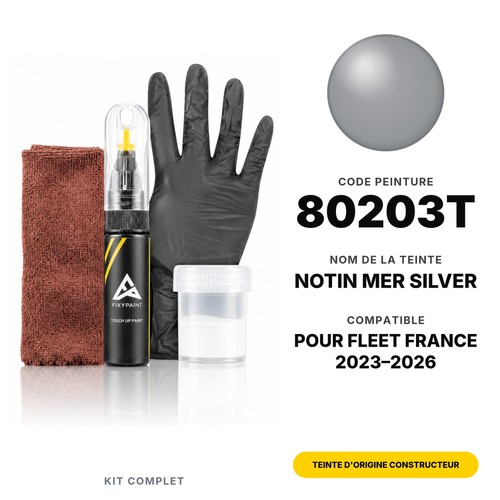 Peinture retouche pour fleet - pour,