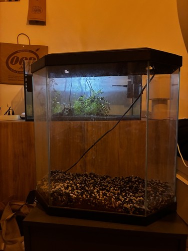 Eheim aquarium verre - aquarium,