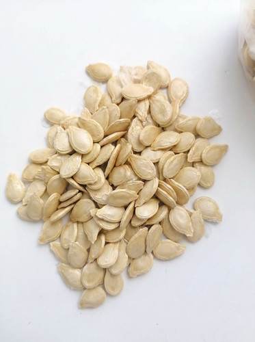 Citrouille cireuse - cireuse,