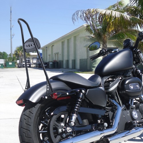 Backrest sissy bar - sissy, pad