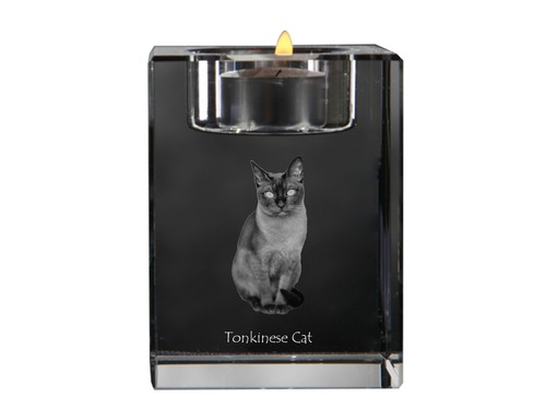 Chat tonkinois porte bougie - -, porte-bougie