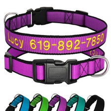 Collier pour chien