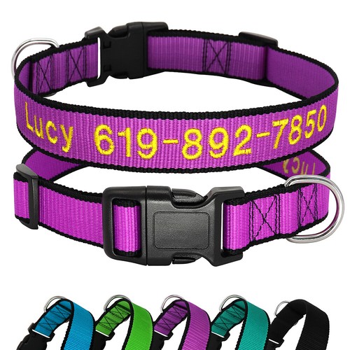 Collier pour chien