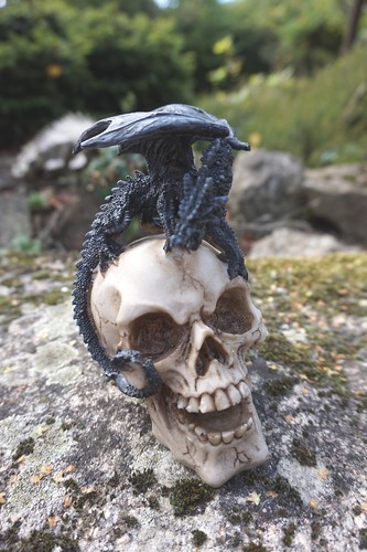 Hf1515 figurine dragon sur - ,