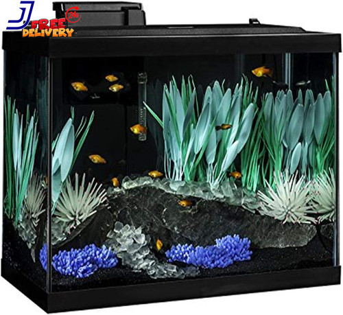 Colorfusion aquarium gallon - colorfusion,