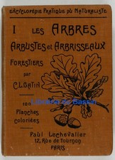 Les arbres, arbustes et