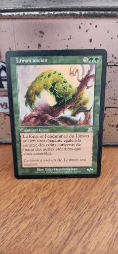 Wizards the coast limon - the,
