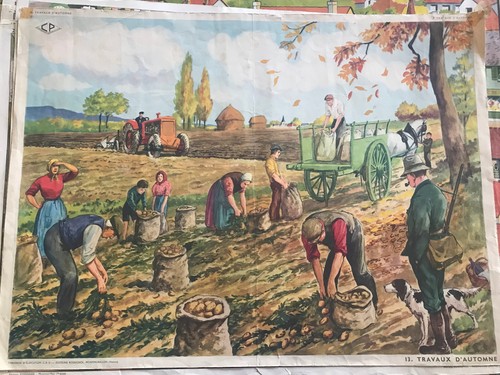 Ancienne affiche scolaire - 🚌,