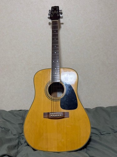 Guitare acoustique takamine - acoustique,