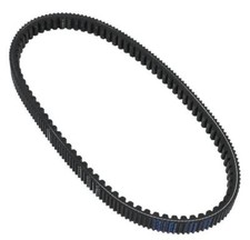 Courroie Polini maxiscooter