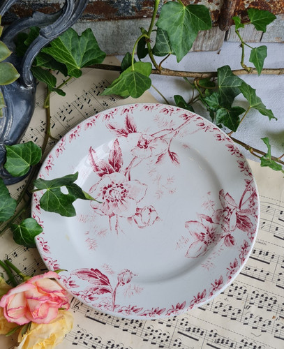 Ancienne assiette terre - assiette,