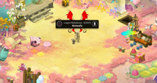 Compte dofus IOP TERRE GRADE 6