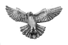 Kestrel Hovering Pewter Pin