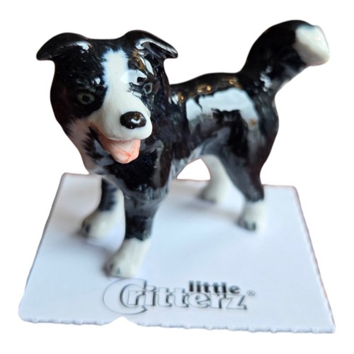 Little critterz dog - little, border