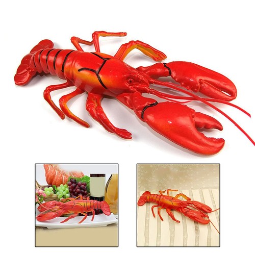 Modèle homard rouge réaliste