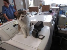 1972 KAWASAKI F6 ENDURO 125CC INTAKE BOOT,  AIRBOX,  ADAPTER